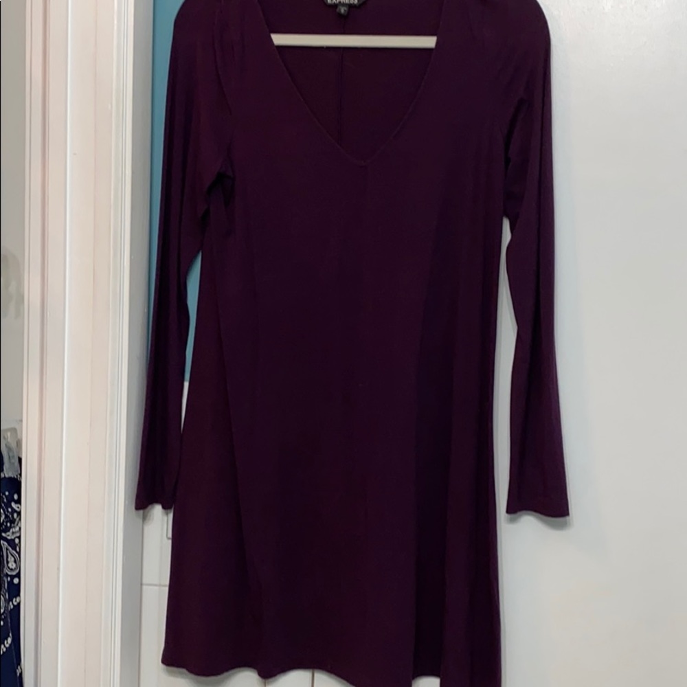 Express mini long sleeve dress